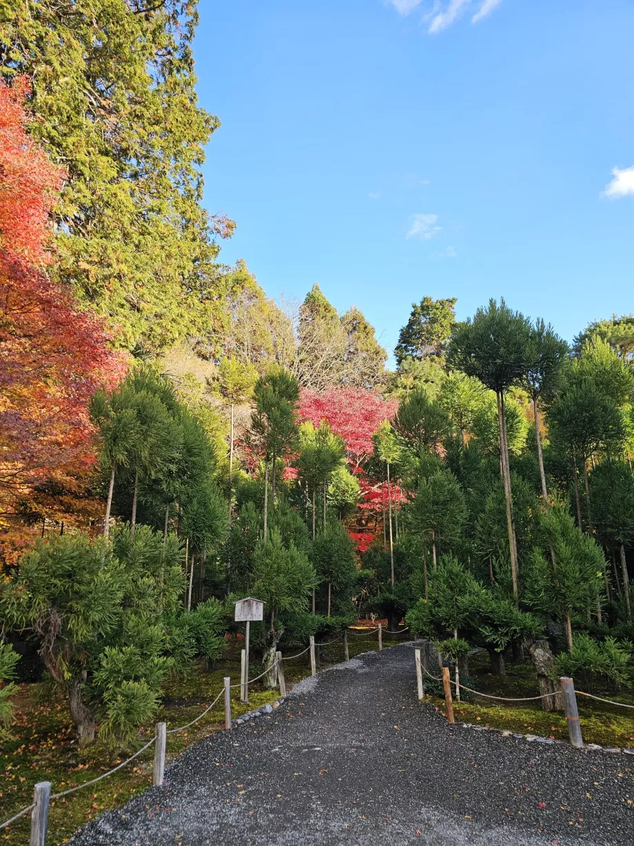 Ryoan-ji Temple