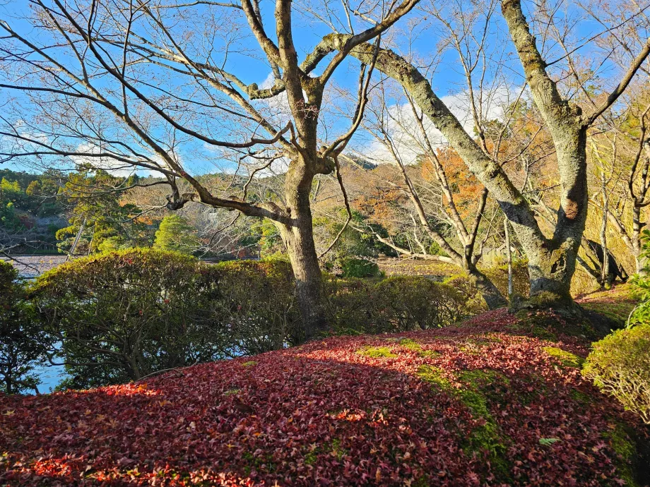 Ryoan-ji Temple