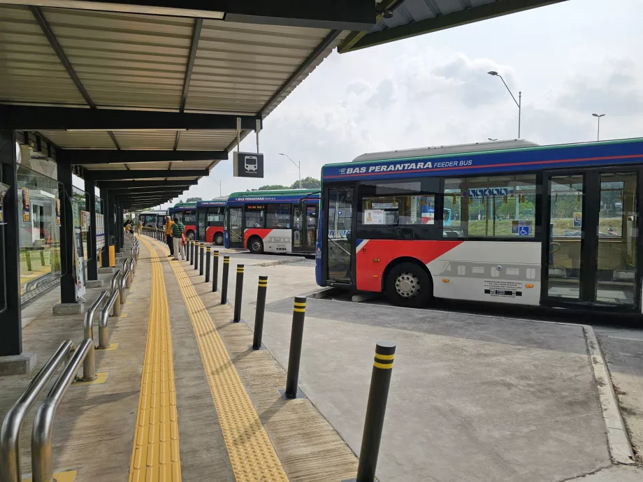 City buses