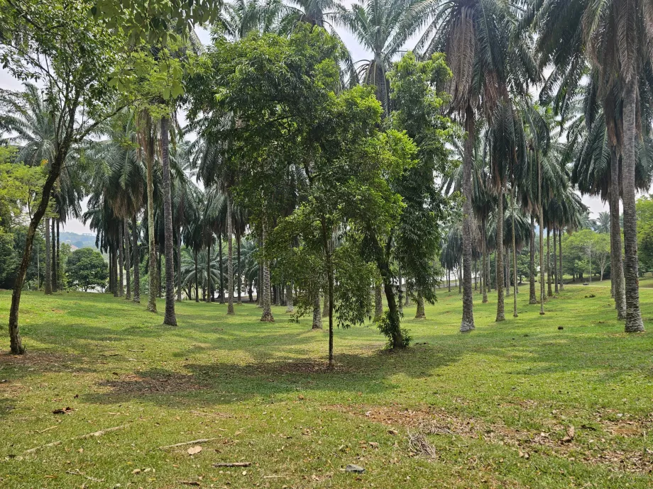 Botanical garden