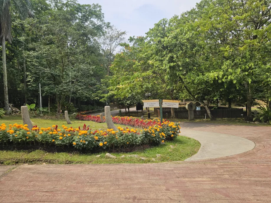 Botanical garden