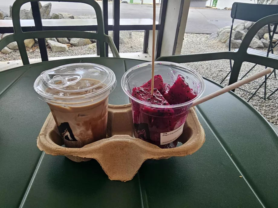 Refreshments in the Botanical Garden