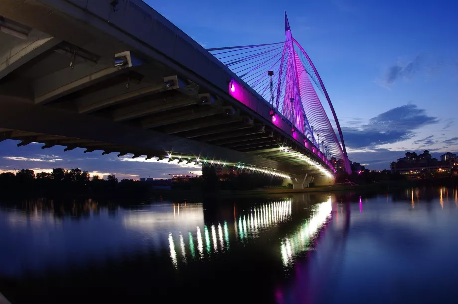 Sri Wawasan Bridge
