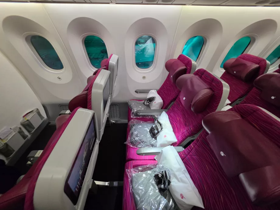 Economy class seats