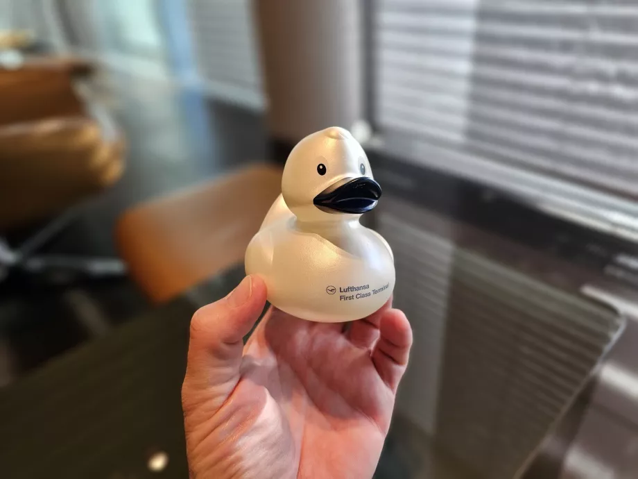 Collectible duck
