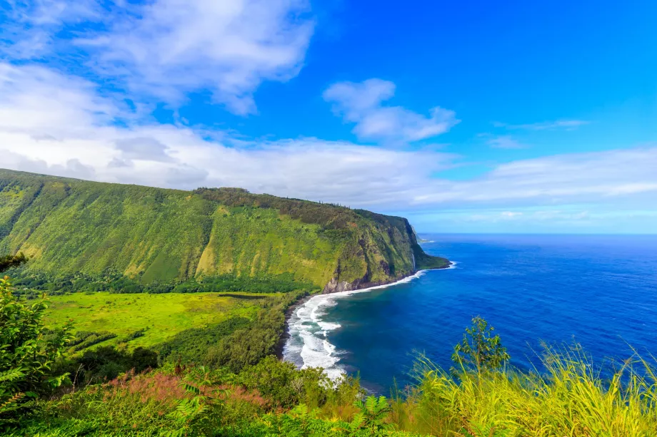 Waipio Lookout
