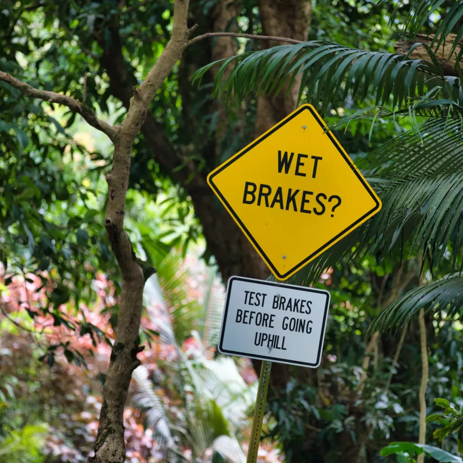 Wet brakes?