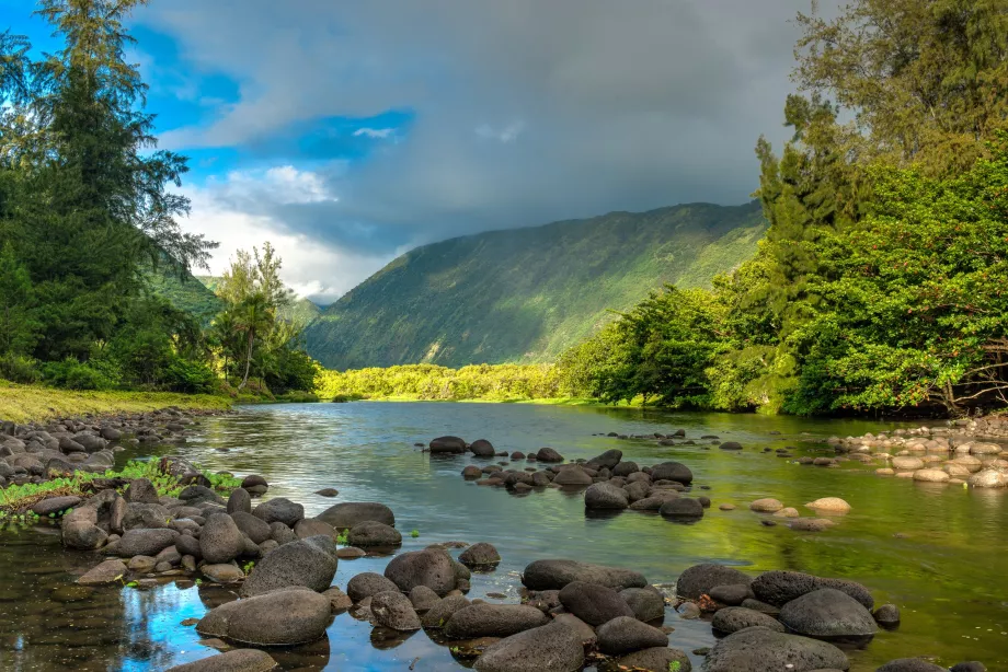 Journey along the river