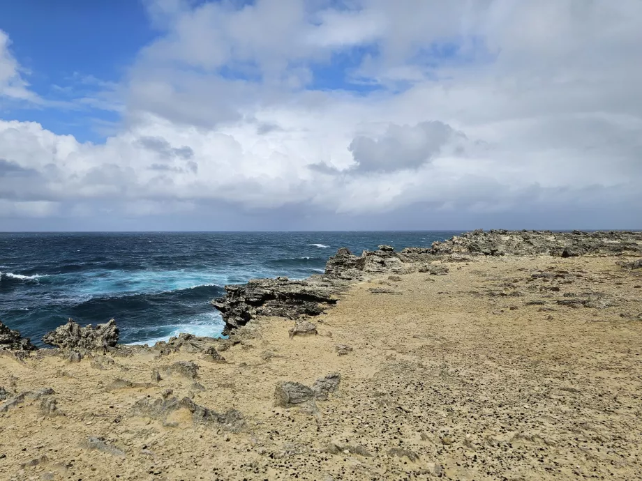 How much au Phare