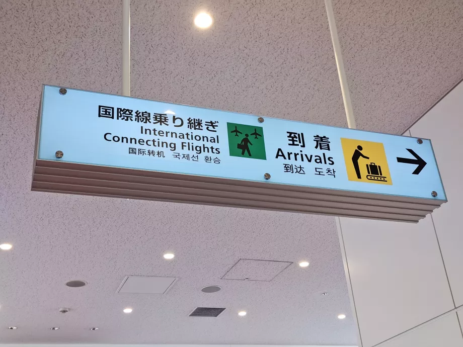 International connecting flights