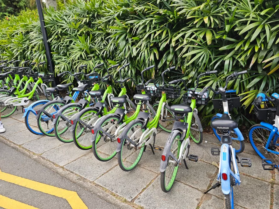 Shared bikes in Singapore