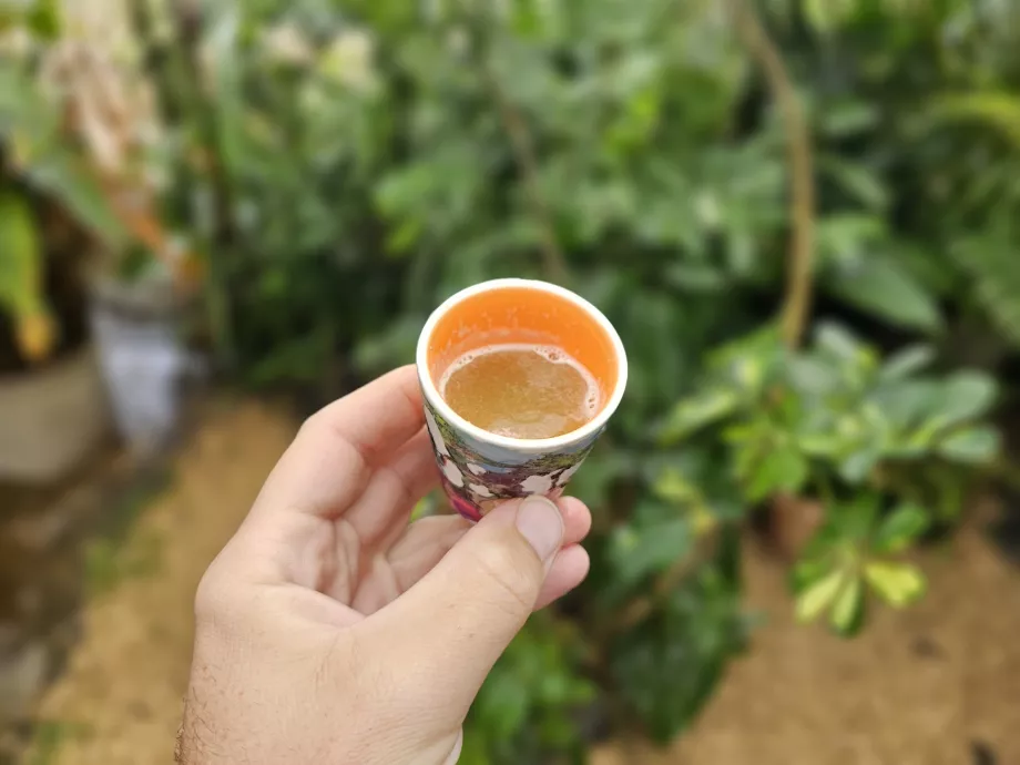 Sugar cane juice