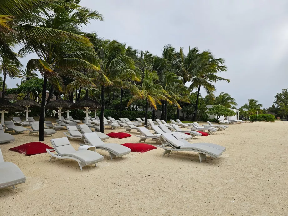 Sun loungers on the Veranda Palmar hotel beach