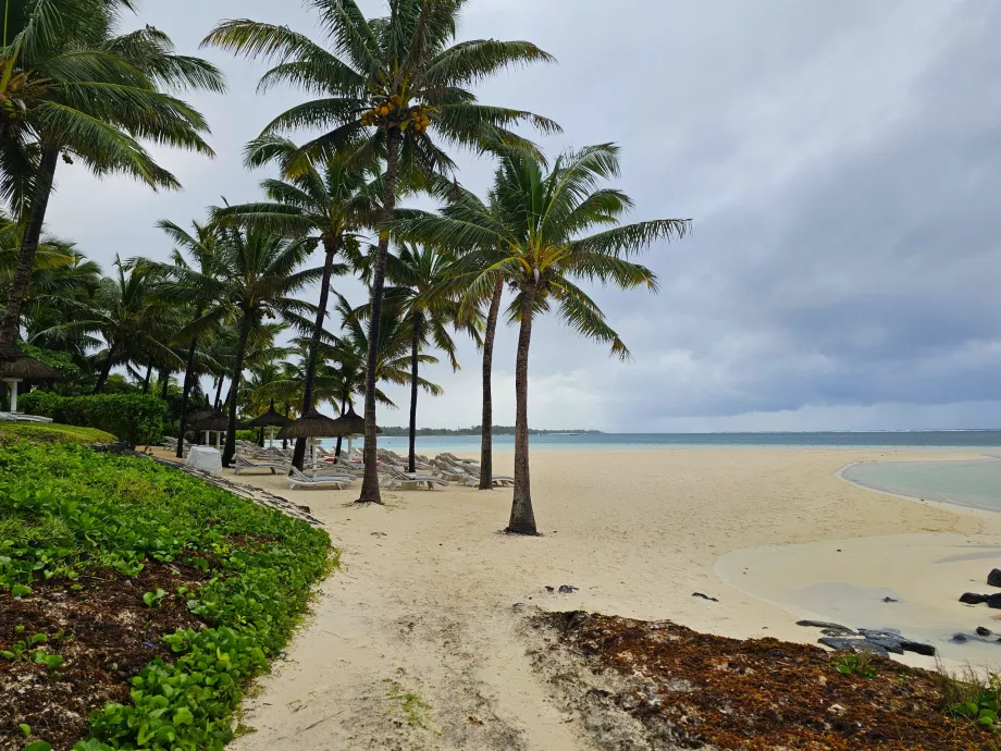 Palmar Beach