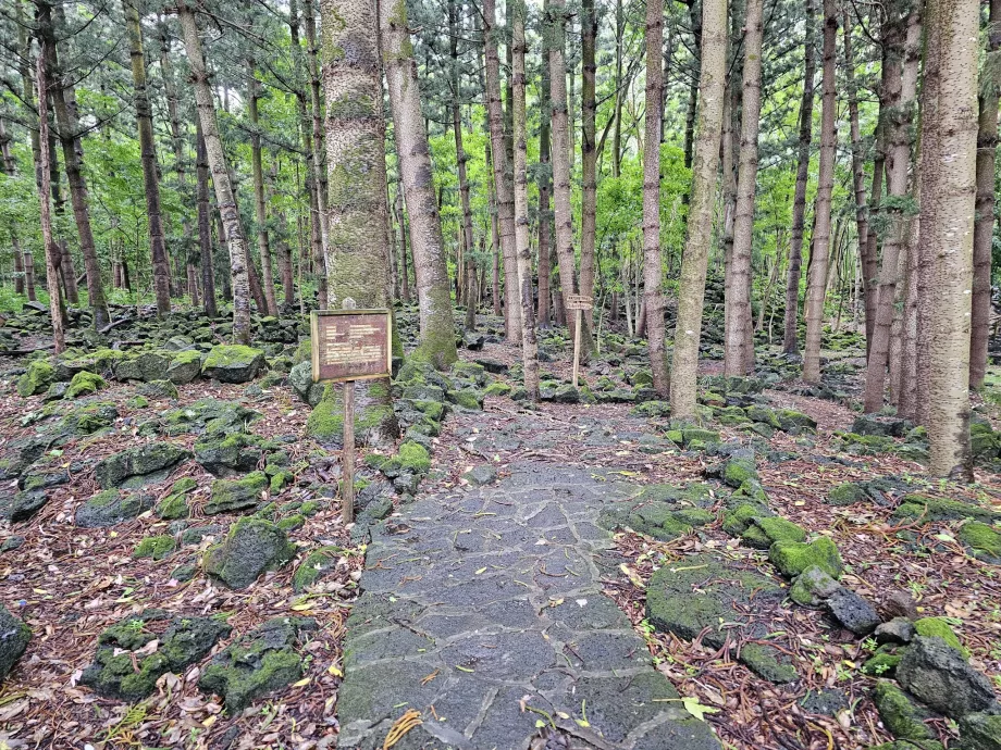 Bras d'Eau National Park, hiking trail