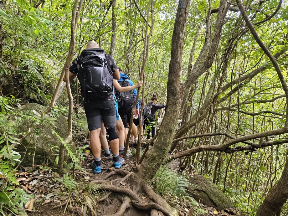 Trail along the 7 Cascades