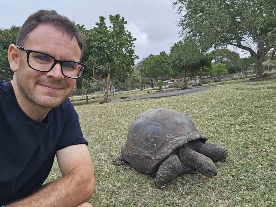 Turtles in Casela Zoo
