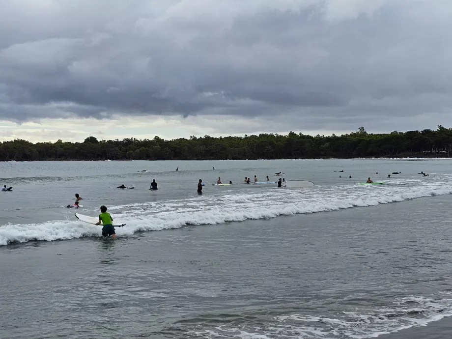 Surfing in Tamarin