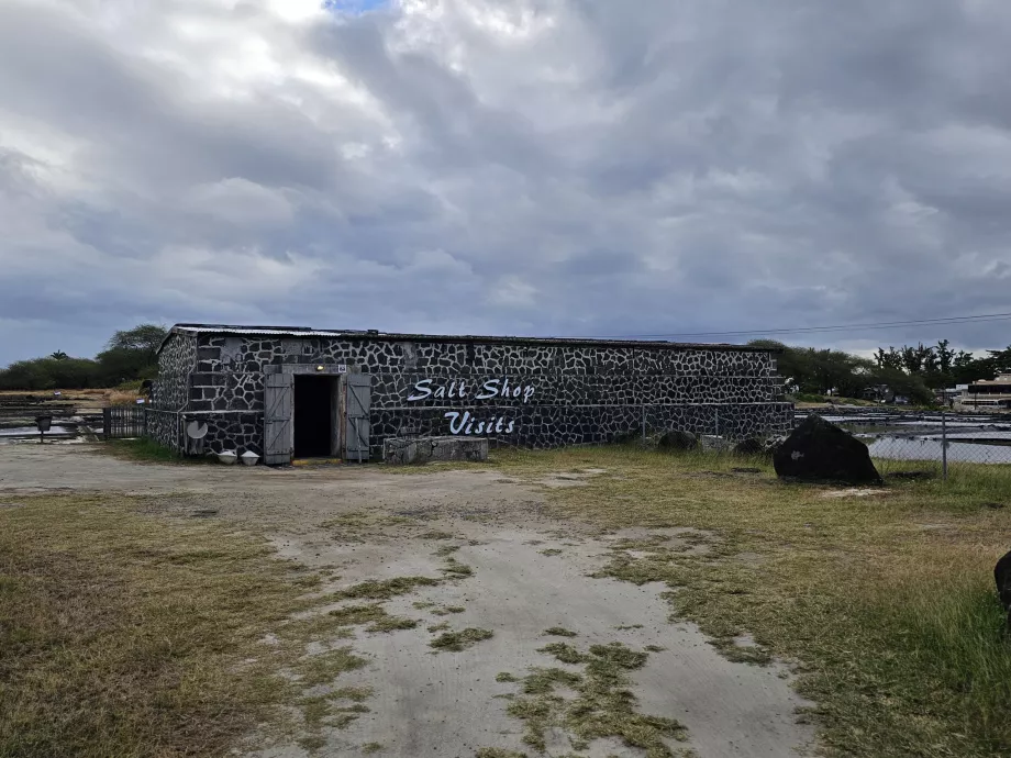 Tamarin Salt Fields
