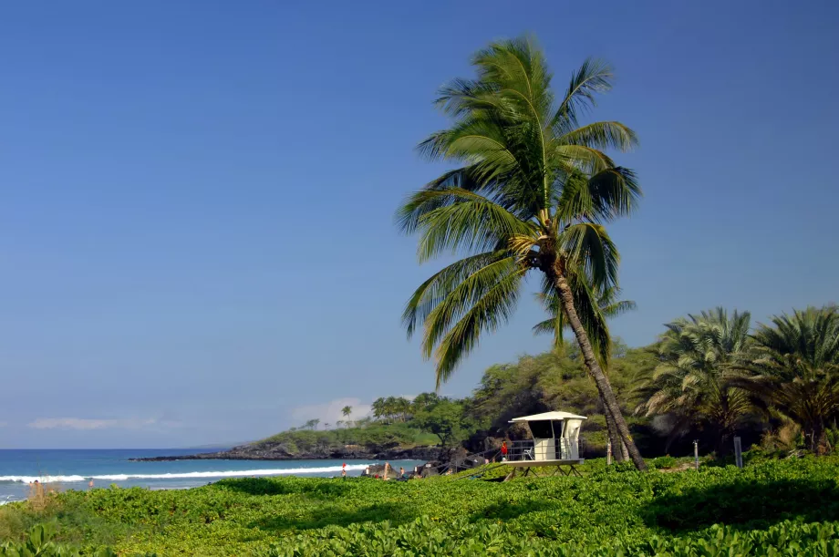 Spencer Beach