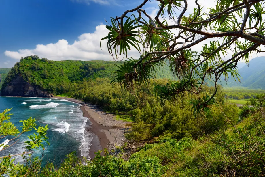 Pololu Trail