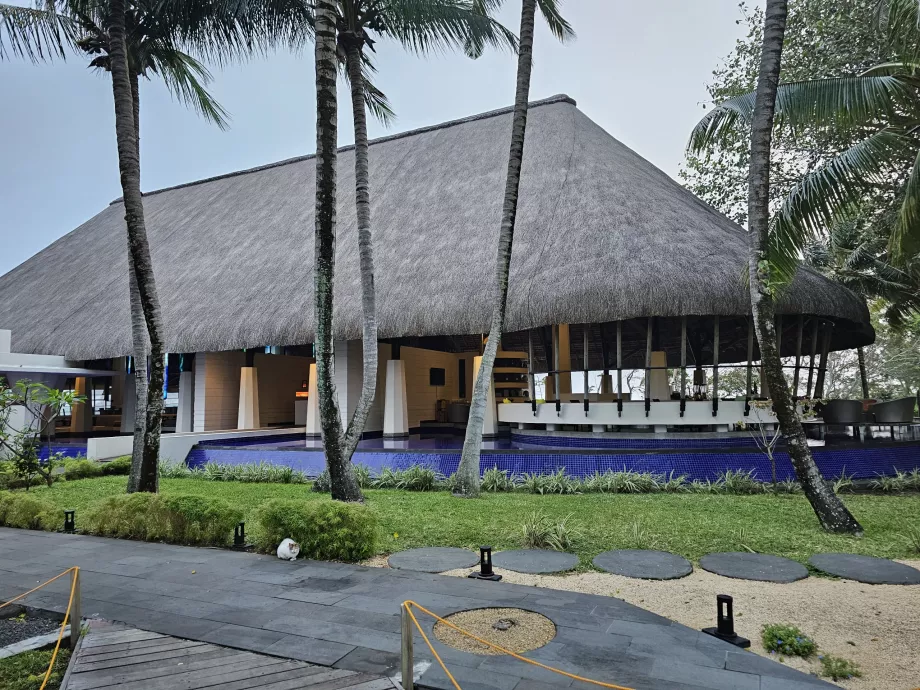Restaurant and bar