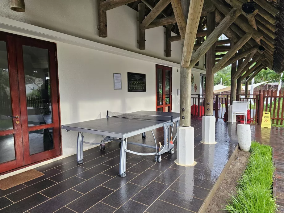 Table tennis