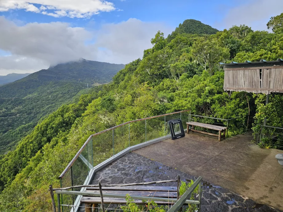 View from the café in Ebony Forest
