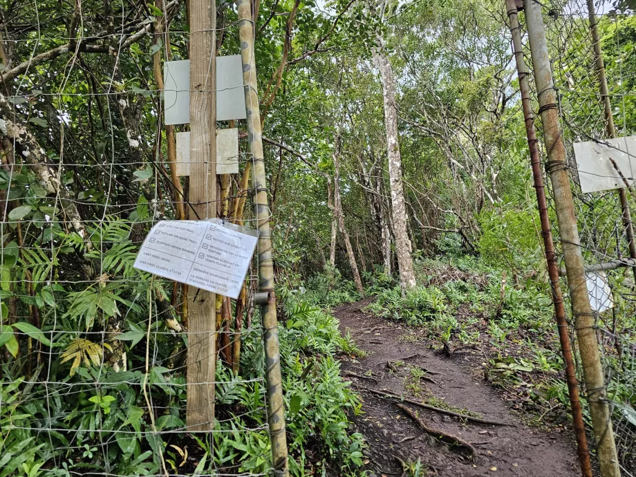 Entrance to Piton du Canot