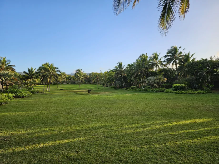 Hotel garden