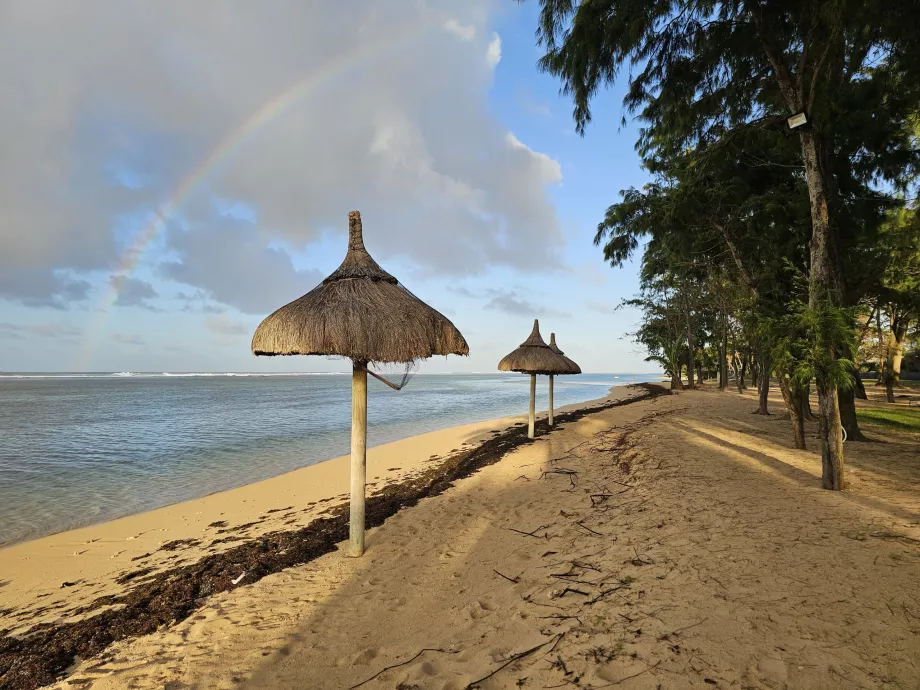 Hotel beach