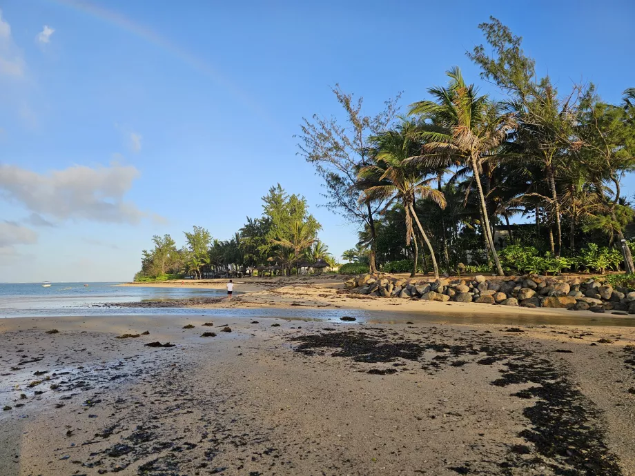 Hotel beach