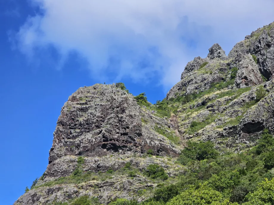 Journey to the top