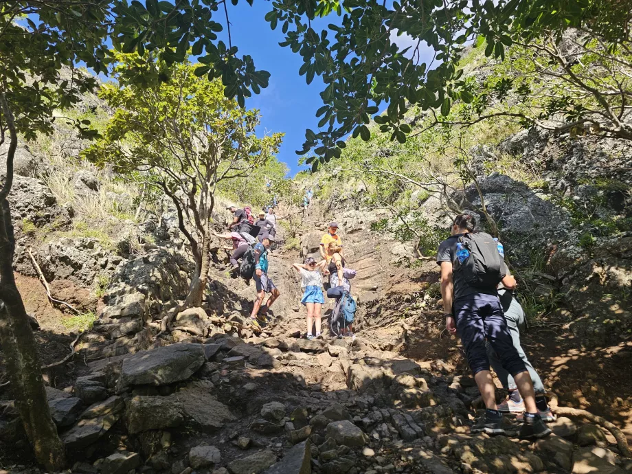 The first challenging section