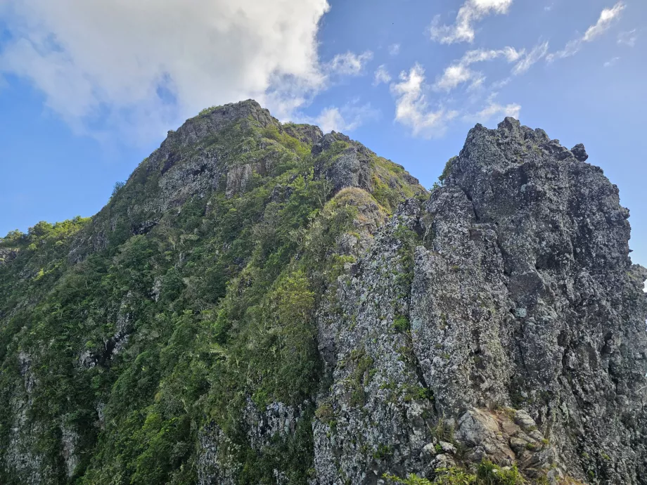 The real highlight of Le Morne