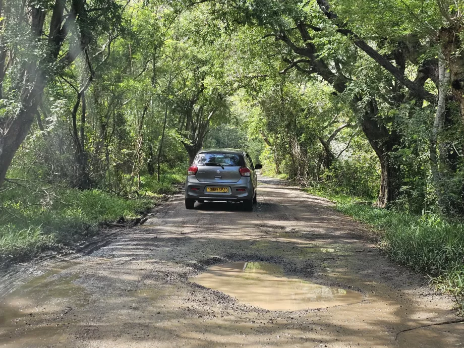 Access road to Le Morne