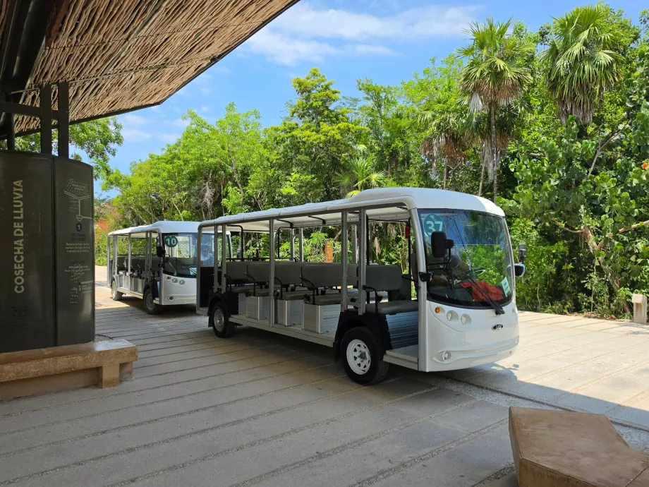 Tulum Archaeological Site, transport by electric bus