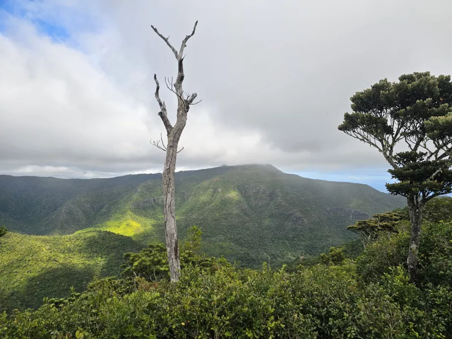 View from Machabee Loop