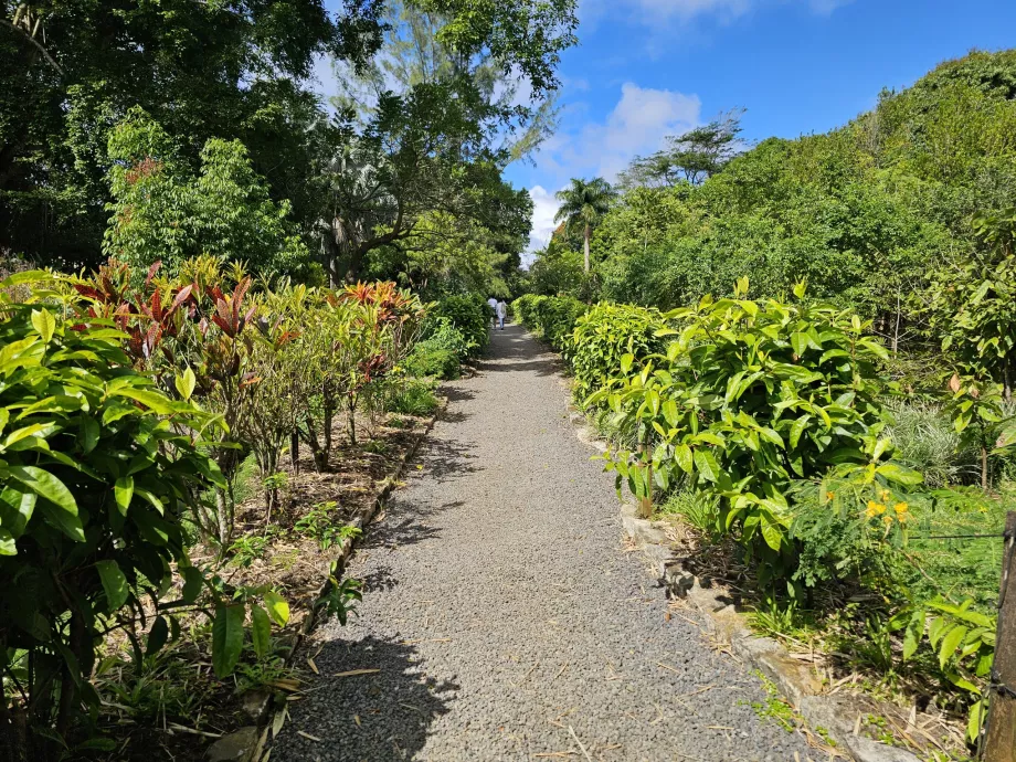 Saint Aubin, botanical garden