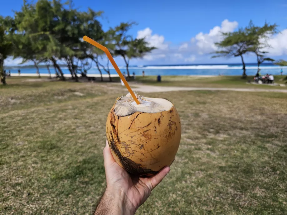 Coconut on the beach