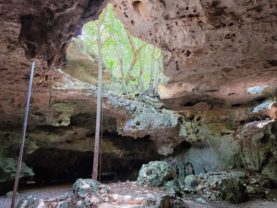 Aktun Chen Cave