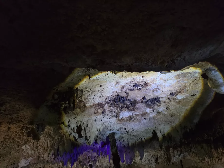 Aktun Chen Cave