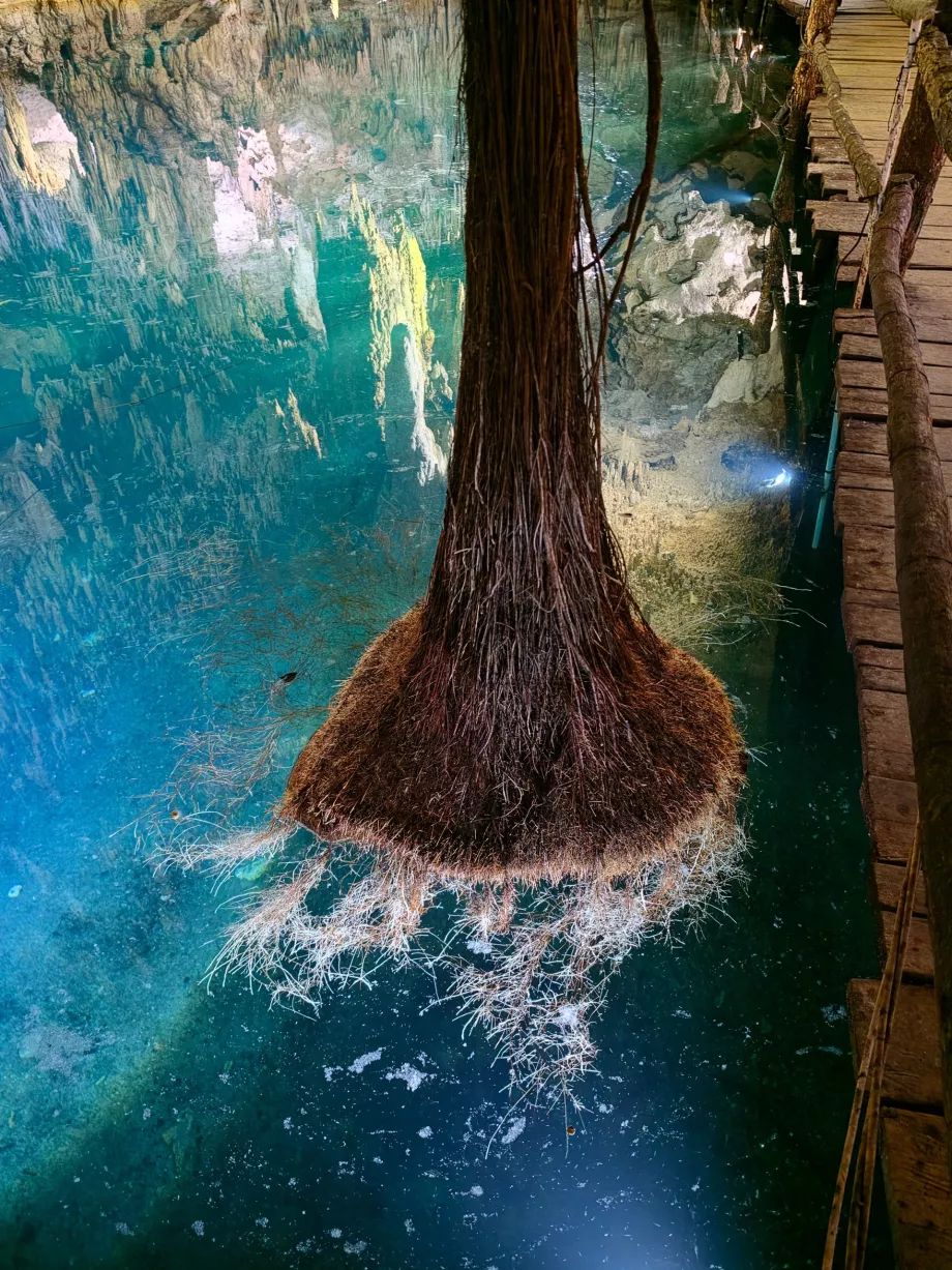 Aktun Chen Cave