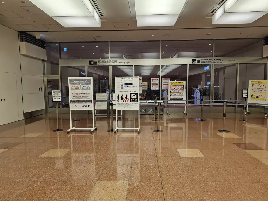 Security check for domestic connecting flights