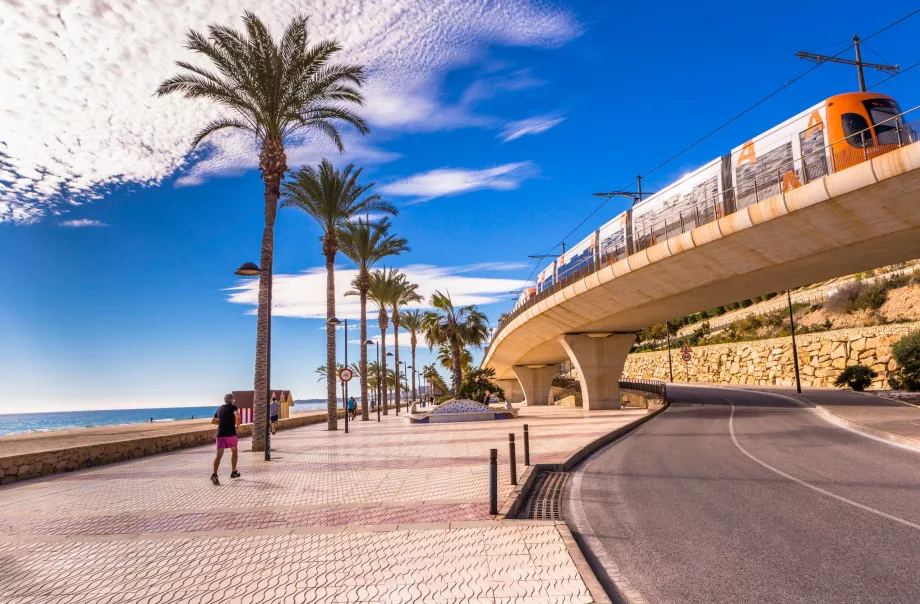 Transportation in Alicante