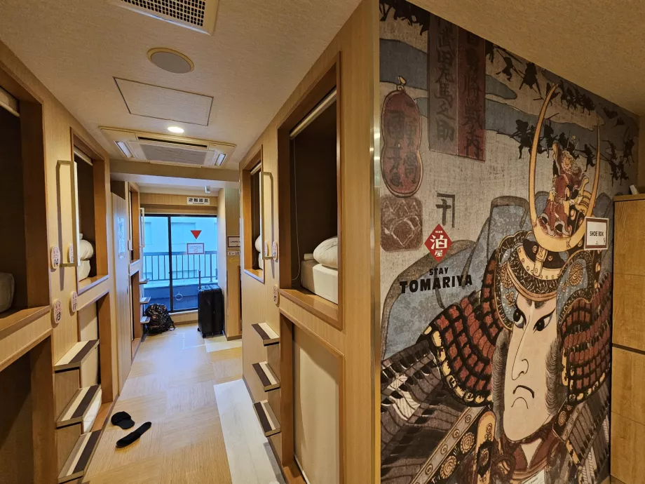 Common area and capsule above