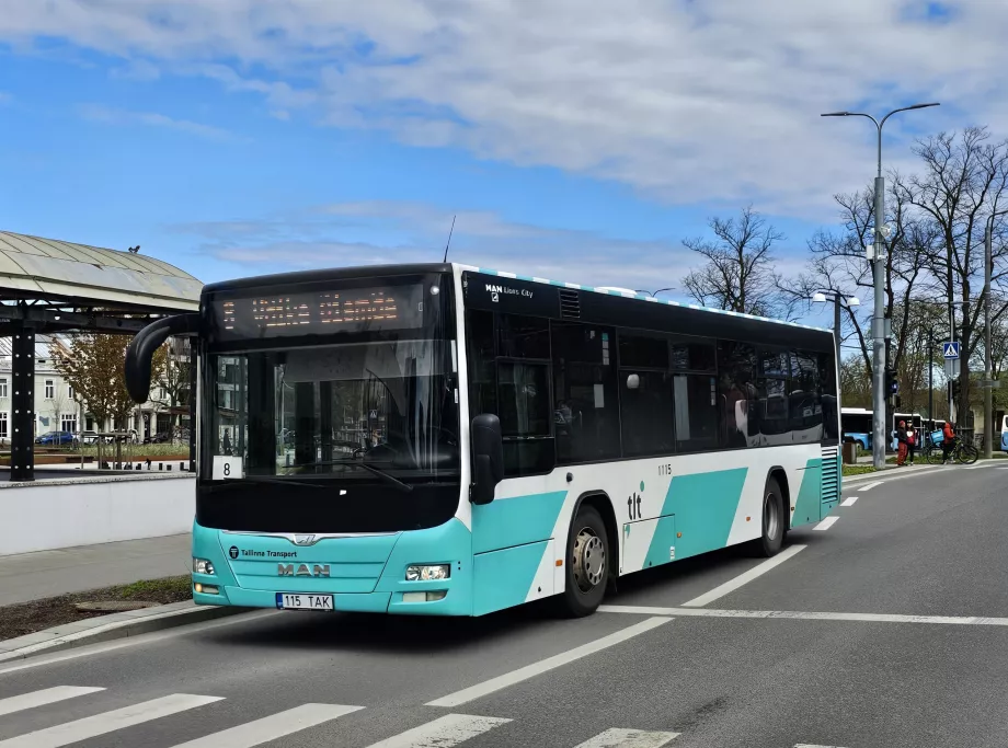 Buses Tallinn