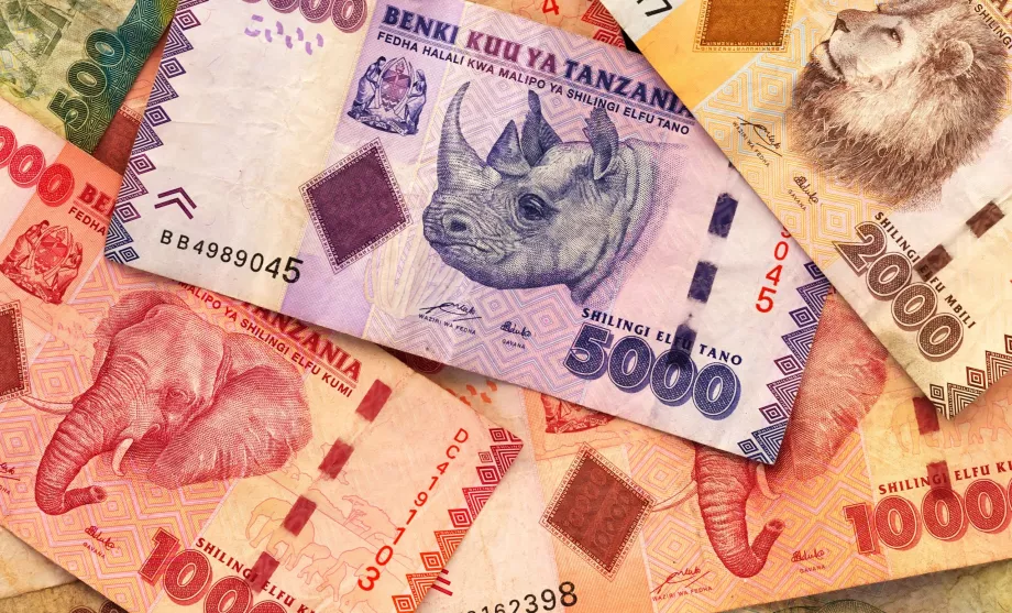 Tanzanian shilling