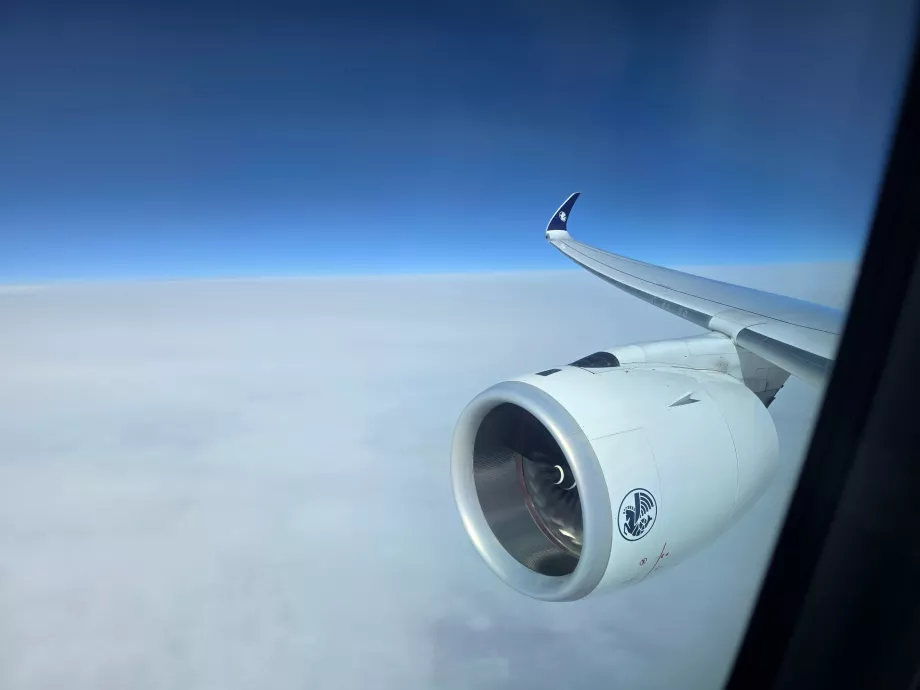 A view of the engine and wing