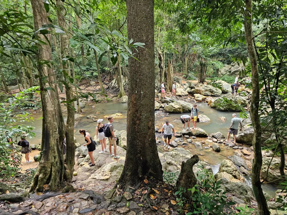 Na Muang Waterfall 1
